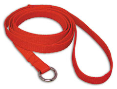 Leashes