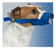 Cozy Quick Muzzles®