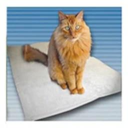 Pet Care Products